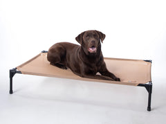 K&H All Season All Weather Dog Cot