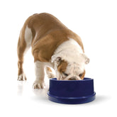 K&H Coolin' Bowl - Cooling Water Bowl for Pets